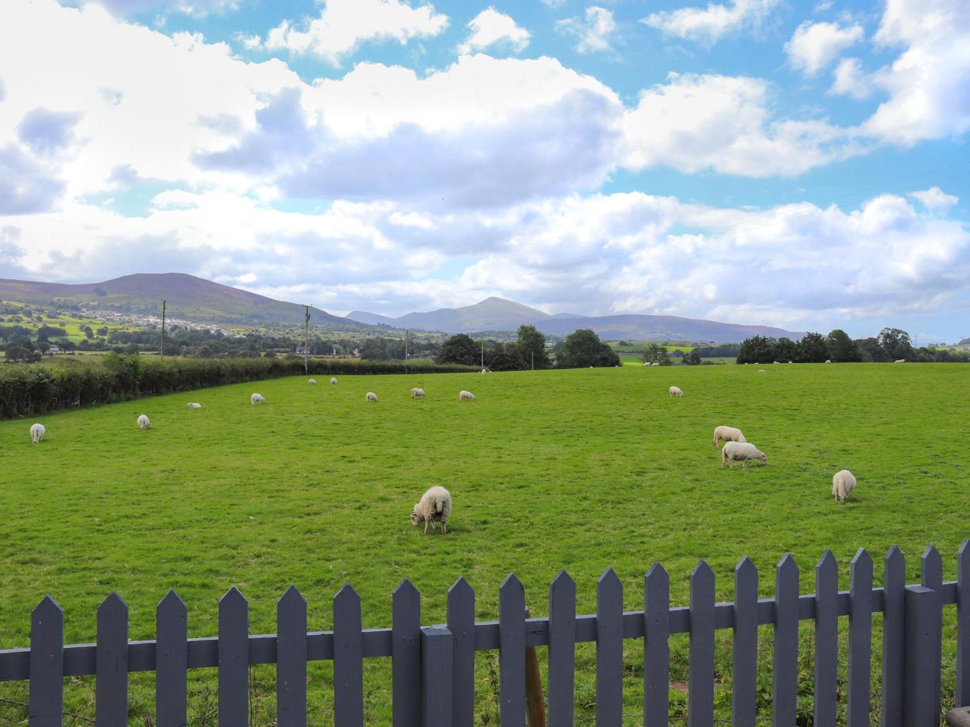 Pencefn Cottage Llanddeiniolen Екстериор снимка
